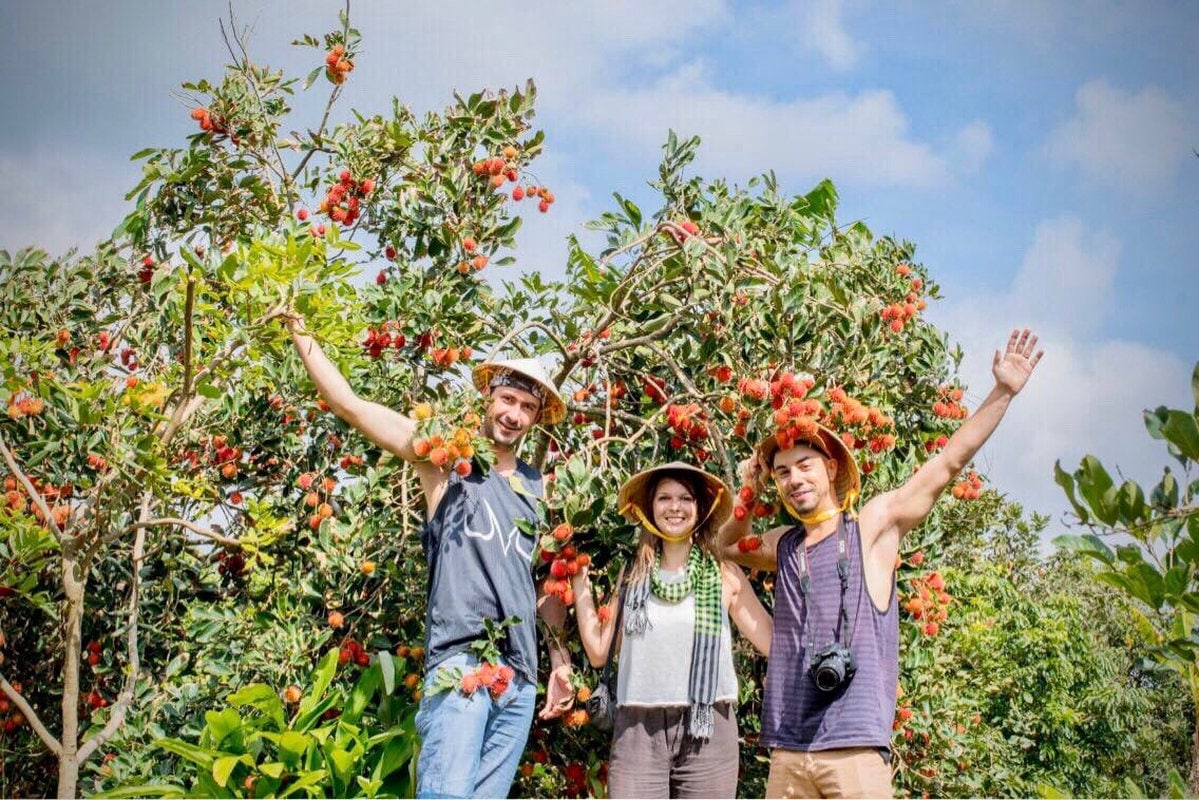 Vườn còn có các hoạt động như chụp ảnh, tham quan, nghỉ ngơi, tạo nên trải nghiệm thú vị cho du khách